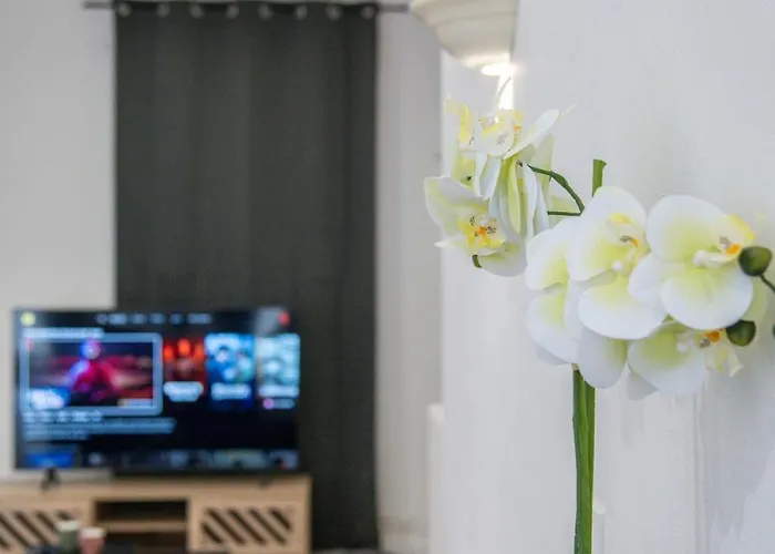 Apartment Loft Art Deco Terrasse Verriere Clim Lit King Size Digne-les-Bains